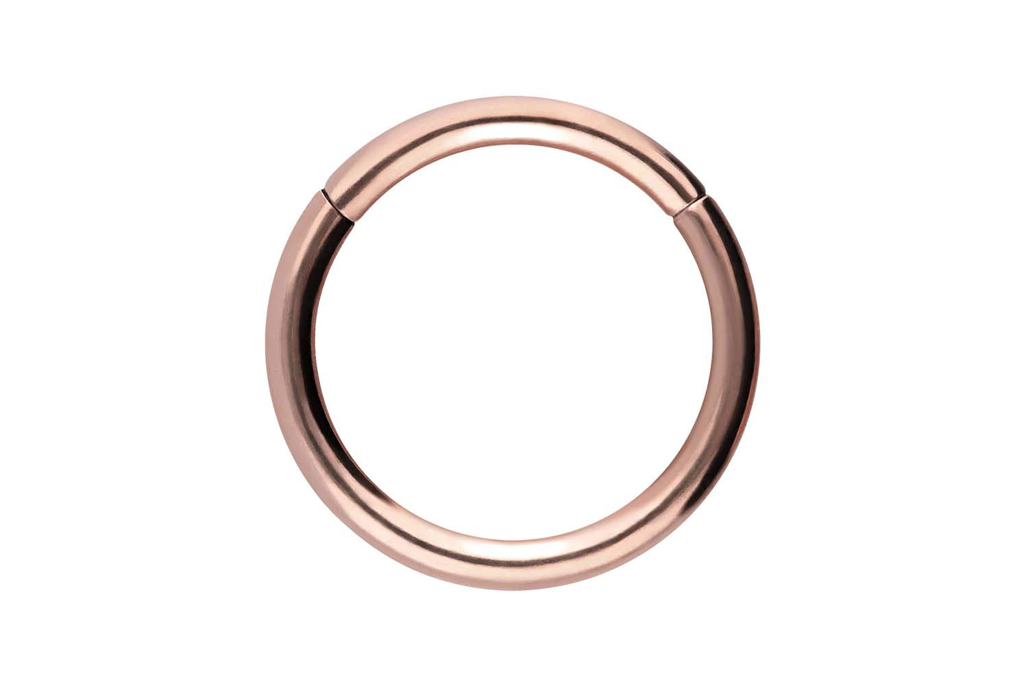 Chirurgenstahl Segmentring Clicker Piercing